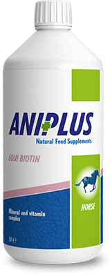 Equi Biotin product
